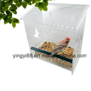 Best Window Bird Cage for Bird Lovers